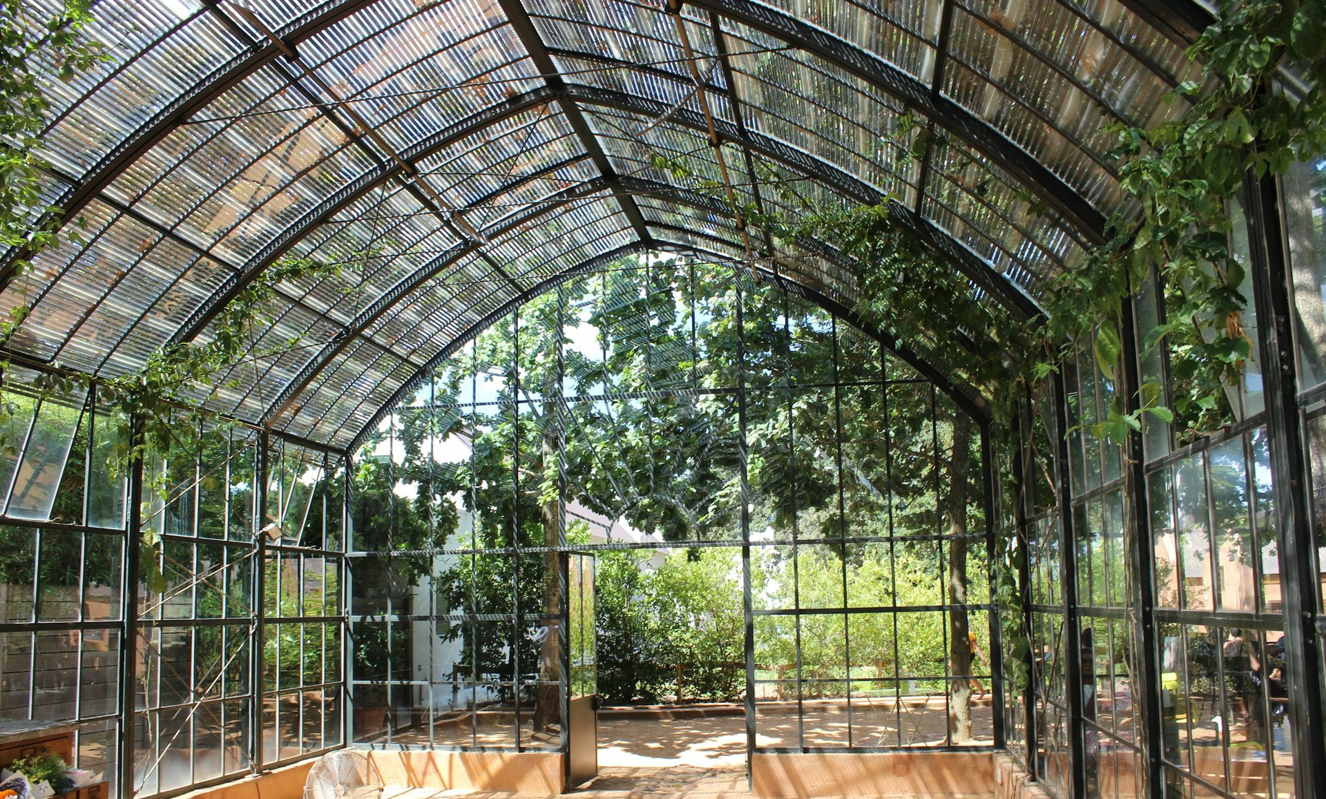 What's the Best Way to Incorporate a Solarium for Year-Round Plant ...