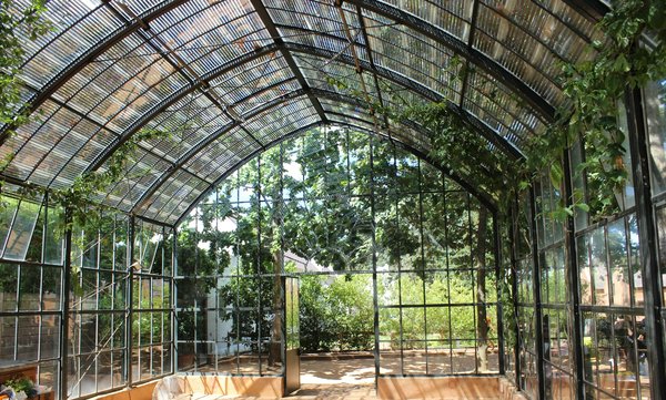What's the Best Way to Incorporate a Solarium for Year-Round Plant Growth?