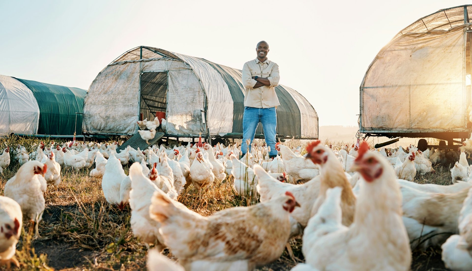 How autogenous vaccines meet the specific challenges of poultry farming ...